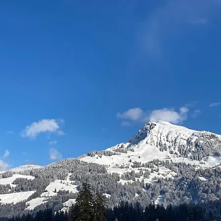 Apartmán Alpine Living *